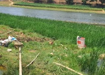 Waduk Tempuran Blora Mulai Mengering, Irigasi ke Sawah Petani Terdampak
