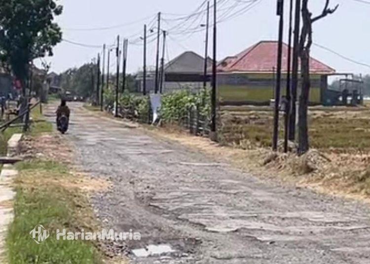 Warga Protes Jalan Bumirejo-JLS Pati Tak Kunjung Diperbaiki - Harianmuria ILUSTRASI: Jalan rusak di Kabupaten Pati. (dok for Harianmuria.com)
