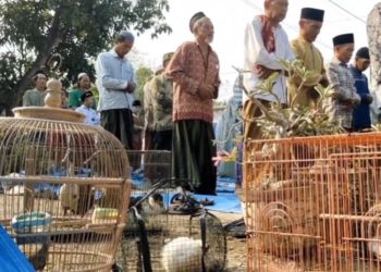 Hewan Ternak Turut Dibawa saat Shalat Istisqa di Grobogan, Ini Maknanya - Harianmuria Hewan Ternak Turut Dibawa saat Shalat Istisqa di Grobogan, Ini Maknanya